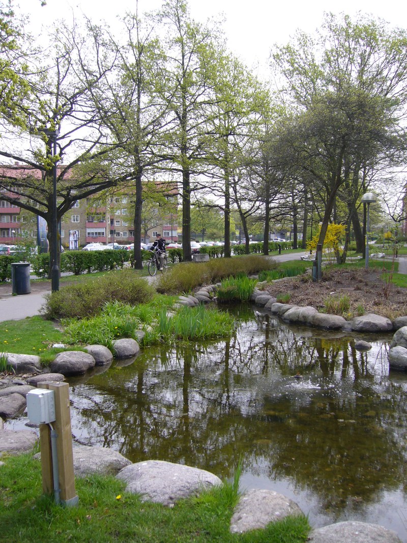 Drainage channel with vegetation filter