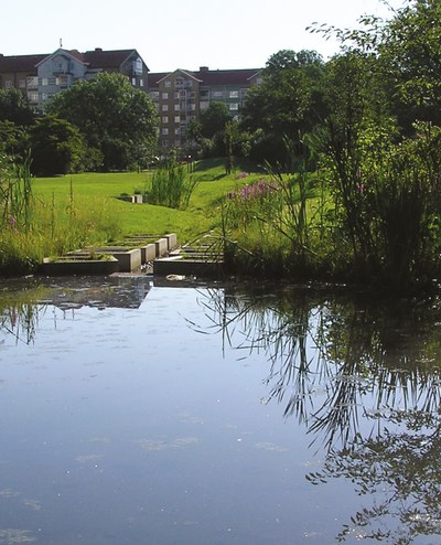 Final pond