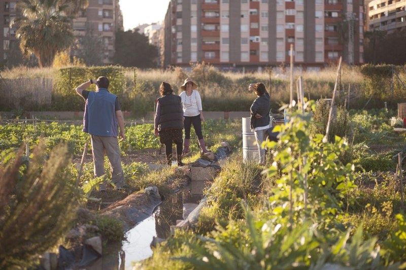 Urban Agriculture in the city of València