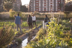 Urban Agriculture in the city of València