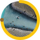 Step5_1_ex1.png
