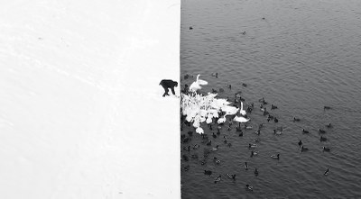 Events shared on Climate-ADAPT