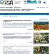 Newsletter26