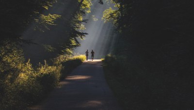 European Climate and Health Observatory