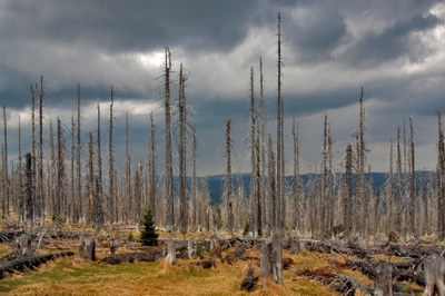 The 2025 report of the Lancet Countdown on health and climate change published