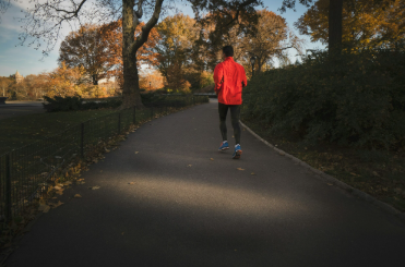 Library of e-learning resources