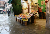 Portal Europeo de Inundaciones