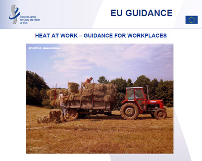 Heat at Work - Guidance for workplaces