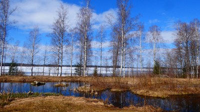 Schutz der Oberflächenwasserqualität in Finnland