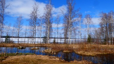 Pinnavee kvaliteedi kaitsmine Soomes