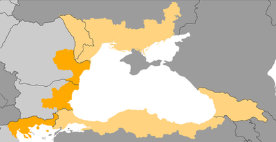 Black Sea Basin (NEXT)