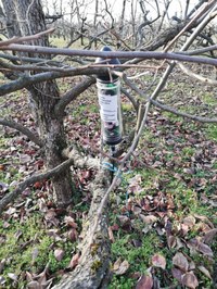 Adaptación al cambio climático mediante la mejora de las prácticas de riego en el valle de Vipava (Eslovenia)