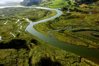 Restauración del estuario superior del río Oka, parte de la Reserva de la Biosfera de Urdaibai