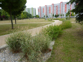 Proyecto piloto de ecologización urbana en Trnava (3)