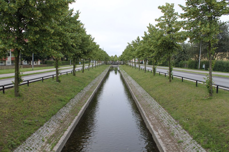 Canal Linnaeus