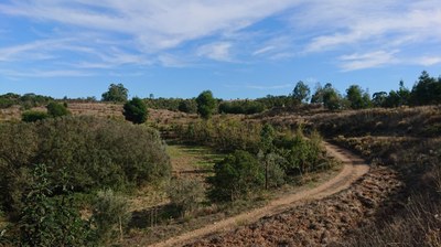 Bosque Alimentario del Valle Meridional