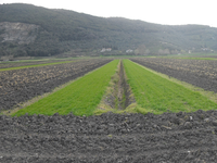 El sistema integrado de soluciones basadas en la naturaleza para mitigar los riesgos de inundaciones y sequías en la cuenca del río Serchio (Italia)