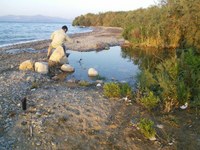 Adaptación a las sequías en los humedales de la región del Ática (Grecia)