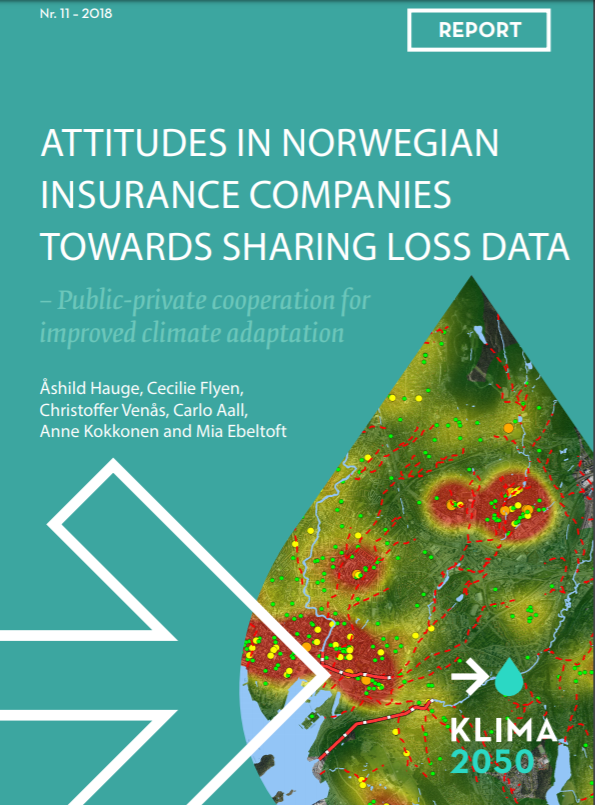 Kindlustusseltside projektikogemusi kokkuvõtva aruande kate