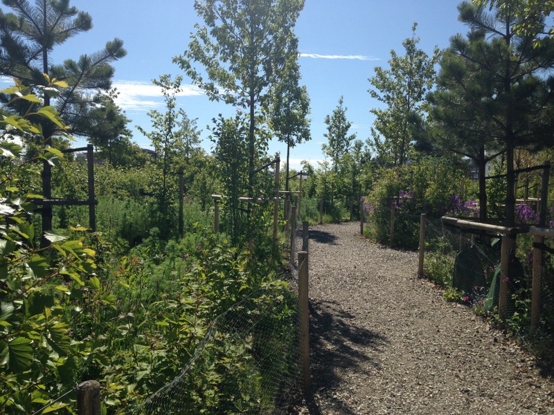 Park