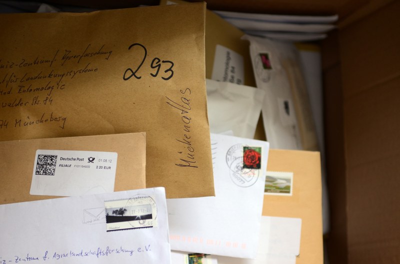 Contributions du courrier à la «Mückenatlas»