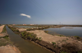 Lagune de Tancada après renaturalisation