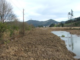 Restauration de l’environnement à Barrutibaso