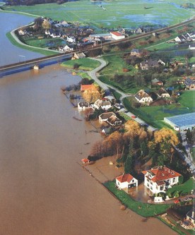 Rivière Waal