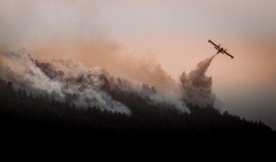Incendies de forêt
