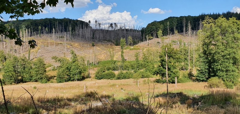 Frábær verkefni — NRW kynningarsíða