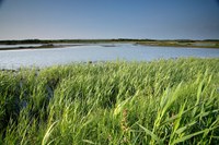 Protezione costiera mediante riallineamento gestito, Titchwell Marsh