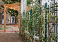 Paris Oasis Schoolyard Programme, Francia