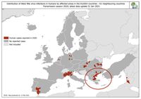 Misure di prevenzione e controllo dell'infezione da virus del Nilo occidentale in Grecia