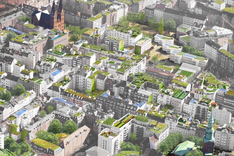Four Pillars To Hamburg S Green Roof Strategy Financial Incentive