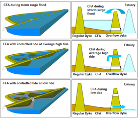 Funkcjonowanie CFA z kontrolowanym obszarem pływów