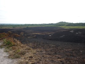 Pożar w czerwcu 2011 r.
