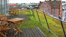 Prosty, intensywny zielony dach w Hamburgu