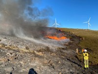 Ogień i wypas jako zintegrowane podejście mające na celu zwiększenie odporności lasów na zmianę klimatu w Viseu Dão Lafões w Portugalii
