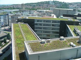 Zielone dachy Stuttgart