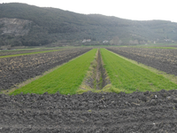 Zintegrowany system rozwiązań opartych na przyrodzie w celu ograniczenia ryzyka powodzi i suszy w dorzeczu Serchio (Włochy)