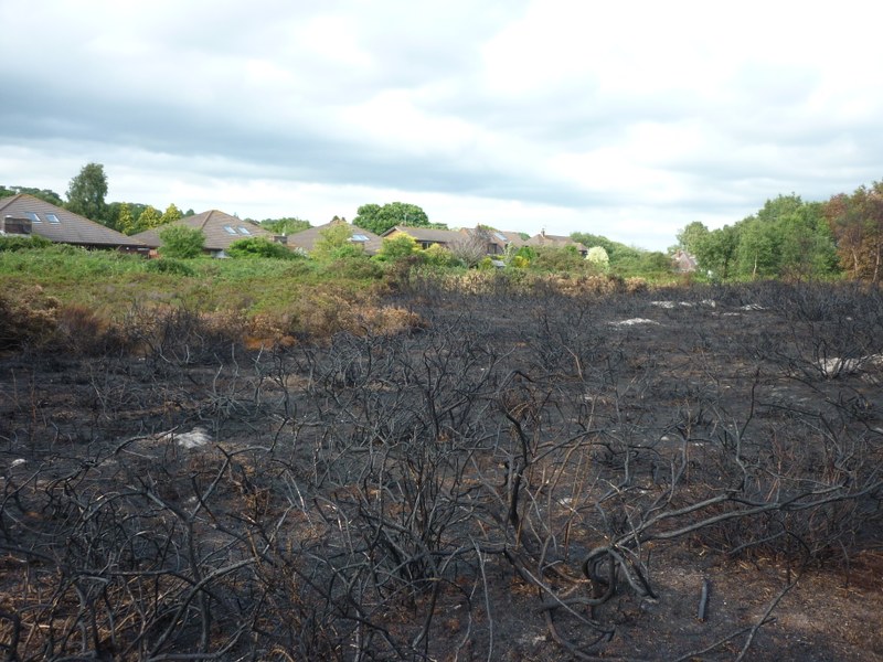 Incêndio de junho de 2011