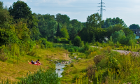 O vale verde rezistentă la inundații și căldură Emscher, Germania