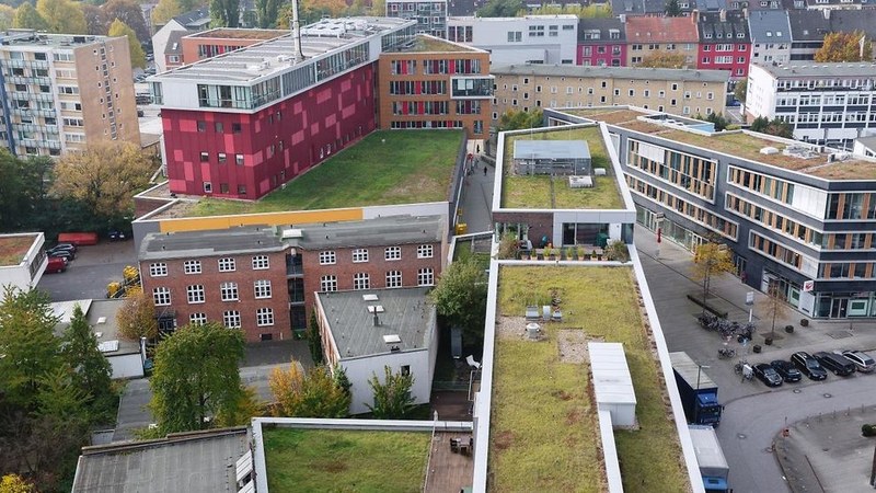 Exemplu de acoperișuri verzi extinse în Hamburg