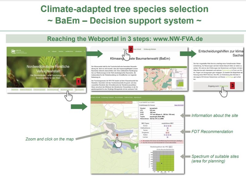Recomandări pentru speciile de arbori adaptați la schimbările climatice